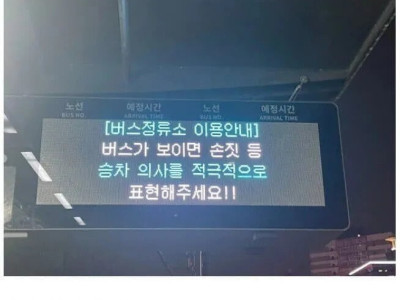 구애의 춤을 요구하는 경기도 버스.jpg