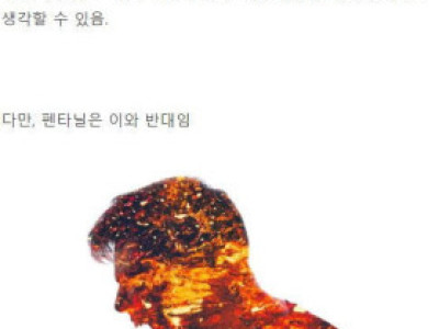 펜타닐 위험성