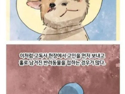 고독사 현장에 남겨진 반려견