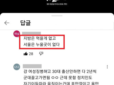 출산율 관련 유튜브 촌철살인 댓글.jpg