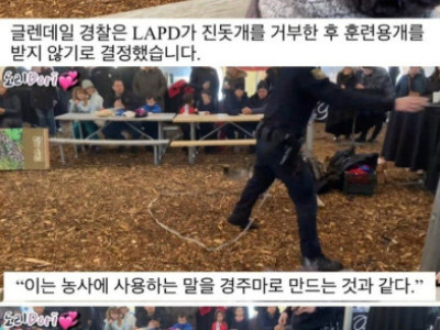 진돗개는 경찰견으로 부족 합니다.