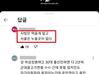 출산율 관련 유튜브 촌철살인 댓글