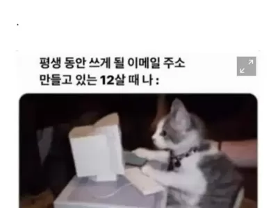 대부분 사람들의 메일주소가 유치한 이유