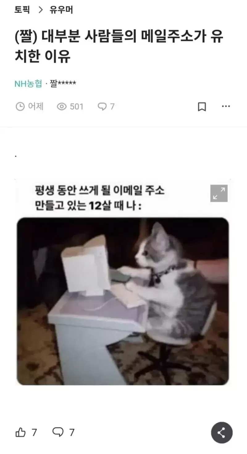 17019208294125.webp
