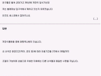 세스코 답변 레전드 (고전)