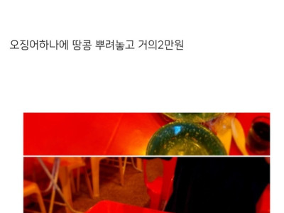 판] 인플루언서들이 개업한 압구정 술집 물가 수준.jpg