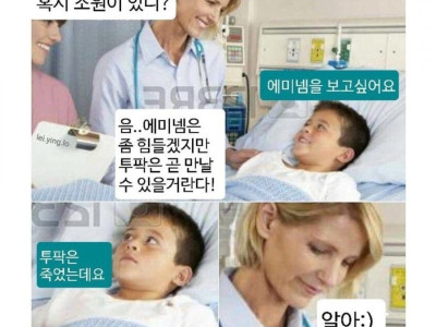 고전 의사밈
