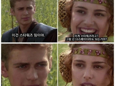 스타워즈 밈