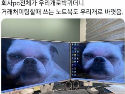 회사 컴퓨터 배경화면 바꿨는데