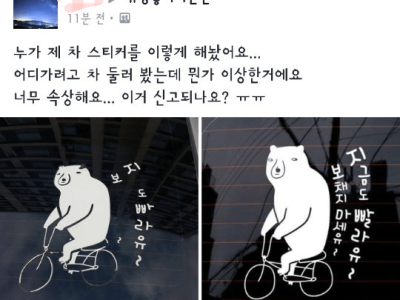 초보 운전 누나의 눈물.jpg