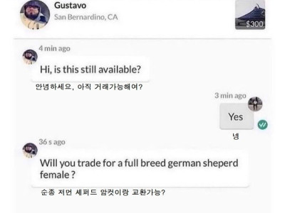 미국의 당근마켓 ㄷ..JPG