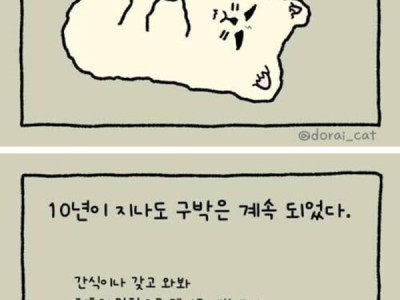 개를 싫어하는 삼촌