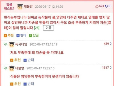 뼈 때리는 현직 농부