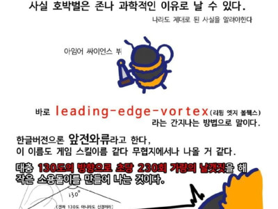 귀여운 호박벌이 날수 있는 이유