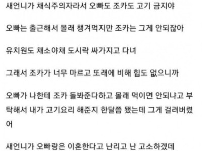 채식주의자 새언니