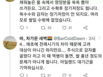한국인들은 왜 옥수수, 감자 안 심고 쌀농사만 함?