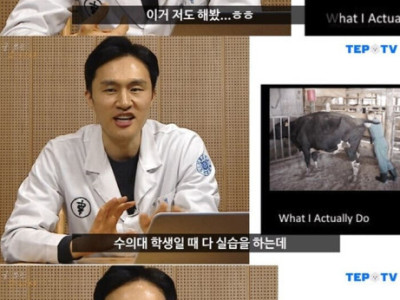 소 ㄸ구멍 쑤시면서 수의사가 가끔 하는 생각.jpg