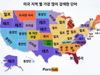 (폰허브) 미국에서 지역별 가장 많이 검색한 단어
