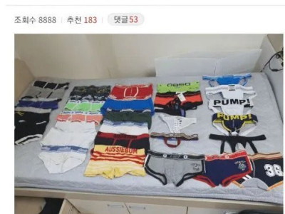 레전드 팬티도둑 디시인