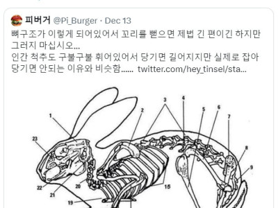 토끼 멸종 후 복원도 예상