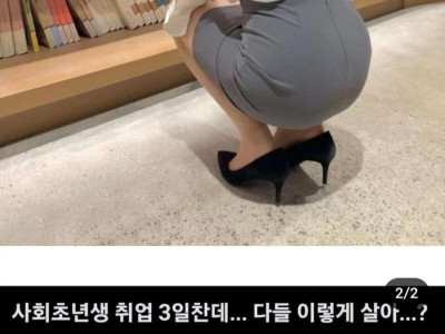 취업 3일차인데 다들 이렇게 살아?