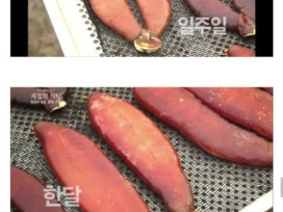 조선시대의 스팸