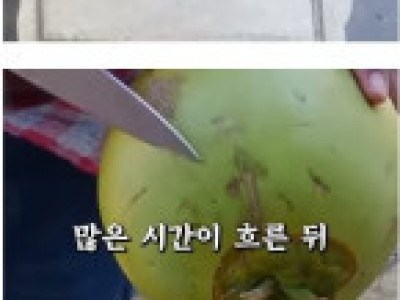 바람핀걸 후회하는 아내에거 신이 속삭였다
