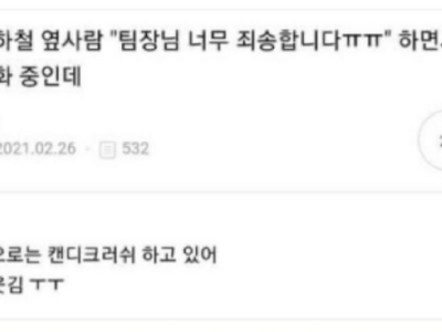 습관적 사과