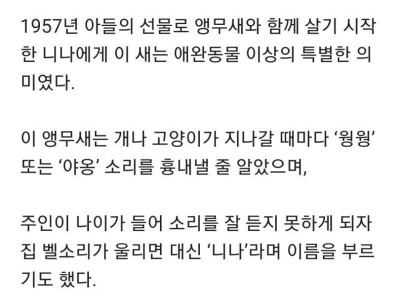 55년 긴 생을 마감한 앵무새의 마지막 말..jpg