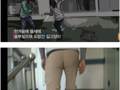 배란다의 스나이퍼