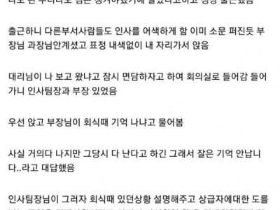 부장에게 욕하고 짤린 디시인