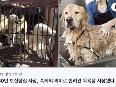 광견도 얼음처럼 얌전해지는 애견 목욕탕.jpg