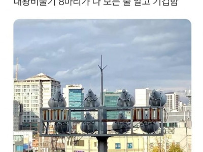 착시현상