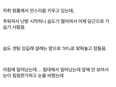 디갤] 미쳐버린 가습기 성능.jpg