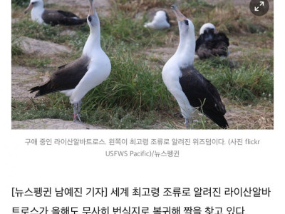 내 나이가 어때서.. 세계 최고령 조류의 짝짓기