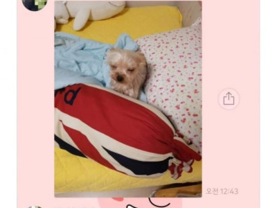 외박시 엄마문자