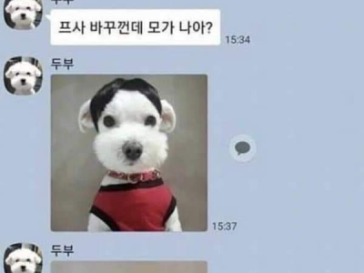 고전] 반려동물들과 카톡을 할 수 있다면.jpg