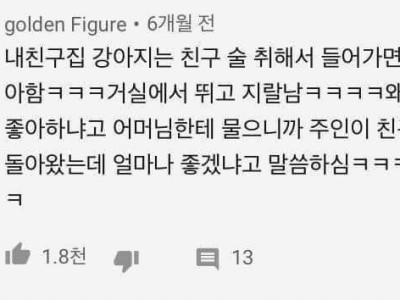 술 취해 집에 들어온 주인을 반기는 강아지