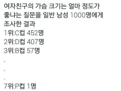 남자가 좋아하는 여친의 가슴크기