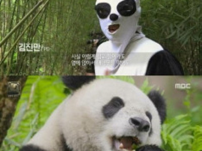 극한직업이라는 MBC PD