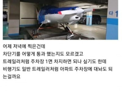 아파트 주차장이 있는 이상한(것)