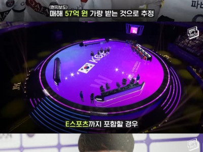 현재 한국인 스포츠스타 연봉 순위.jpg