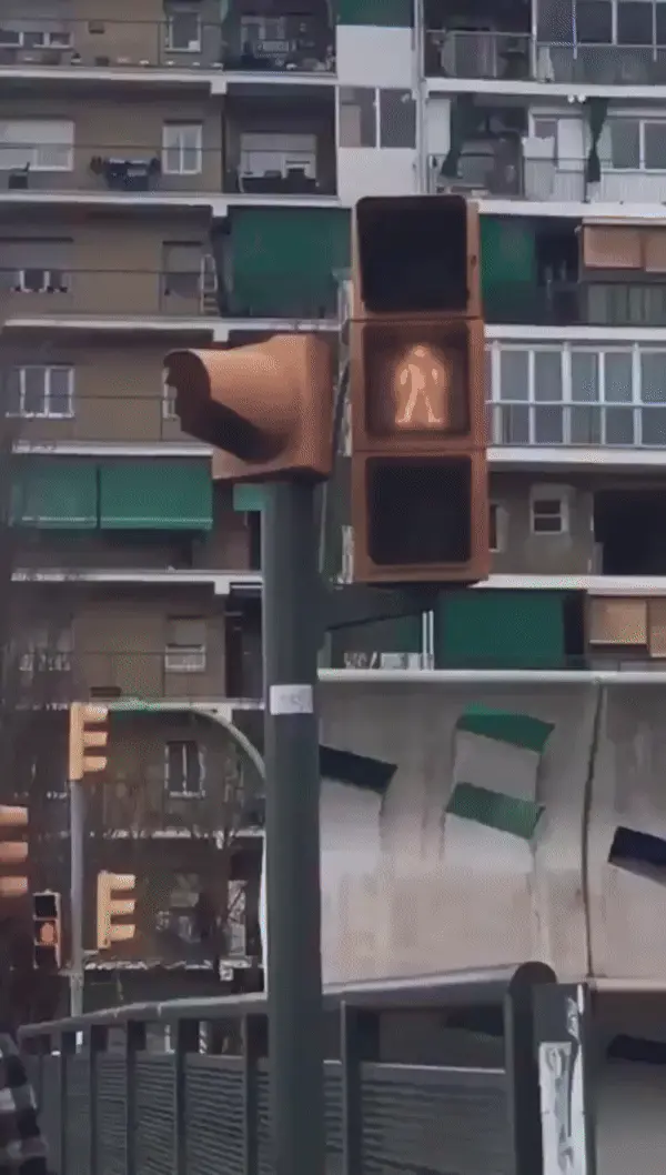 자위하는 미친 신호등