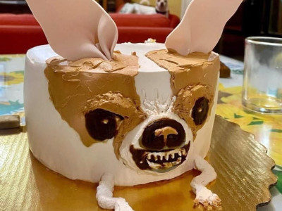 초현실적인 치와와 케이크