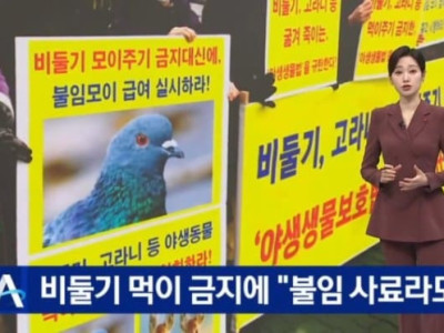 올해부터 비둘기한테 사료주면 과태료
