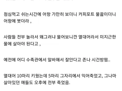 물고기 전문가 신입.ssul