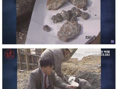 황금 아파트의 비밀