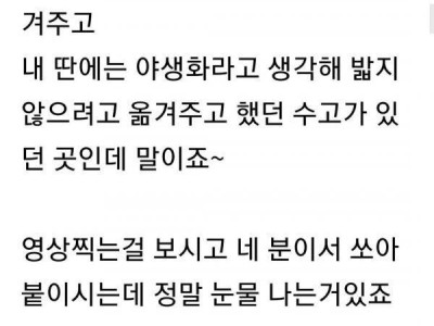 시골 인심을 강요당한 사람.jpg