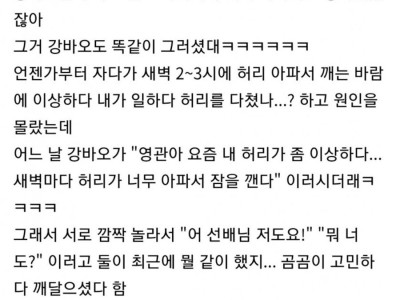 판다 사육사들이 다시 허리가 아플 이유.jpg
