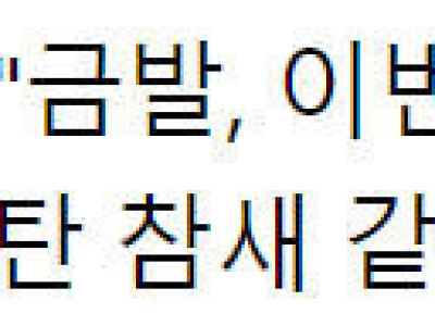 금발 안한다는 걸그룹 처자 ㄷ..jpg